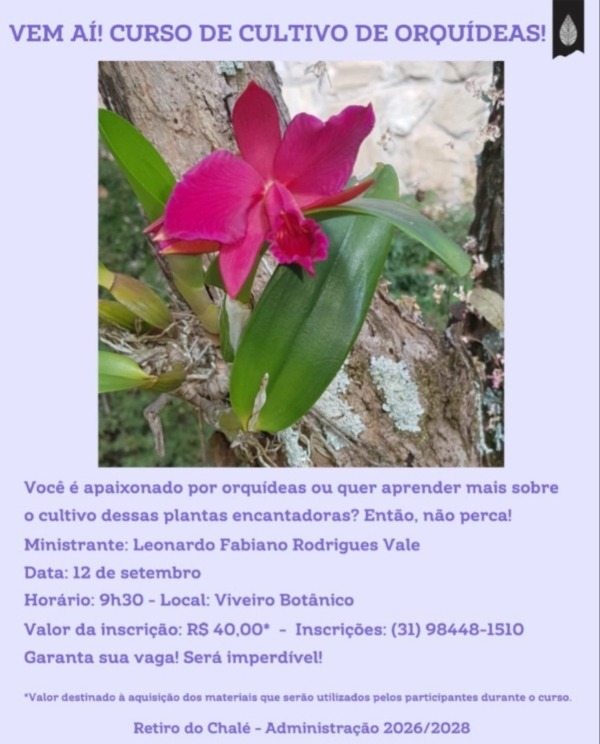 Orquideas.jpg